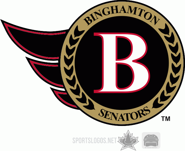 Binghamton Senators 2003 04-2006 07 Secondary Logo iron on transfers for T-shirts